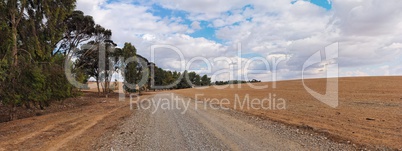 Road at the edge of plowed field and eucalyptus grove