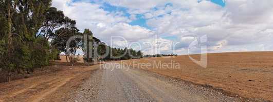 Road at the edge of plowed field and eucalyptus grove