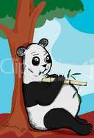Pot Bellied Panda