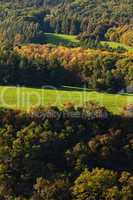 trees on the background of the hillside