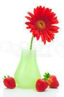 red gerbera in a vase and strawberries  isolated on white