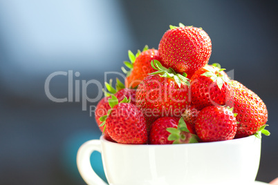 strawberries in a bowl in the daylight