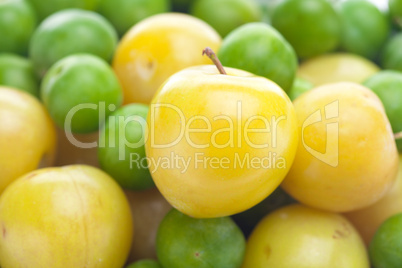 background of green and yellow plum