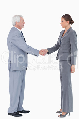 Side view of businesspartner shaking hands