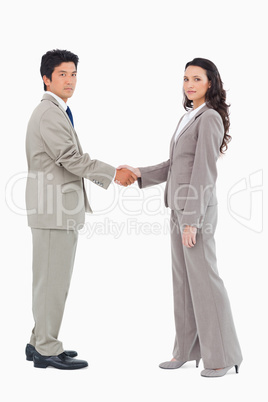 Side view of businesspeople shaking hands