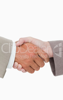 Side view of shaking hands closing a deal