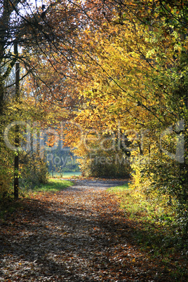 Herbstspaziergang