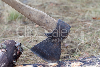 Axe in log