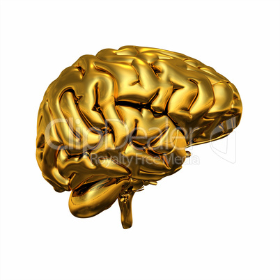 Gold Brain - Links