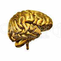 Gold Brain - Links