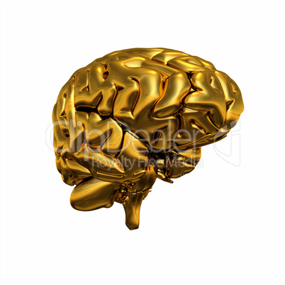 Gold Brain - Halb Links