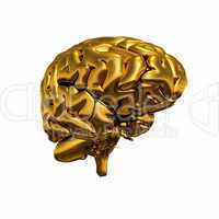 Gold Brain - Halb Links