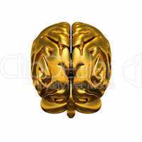 Gold Brain - Rückansicht