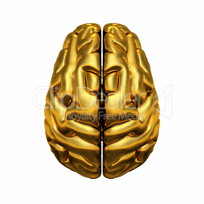 Gold Brain - Draufsicht