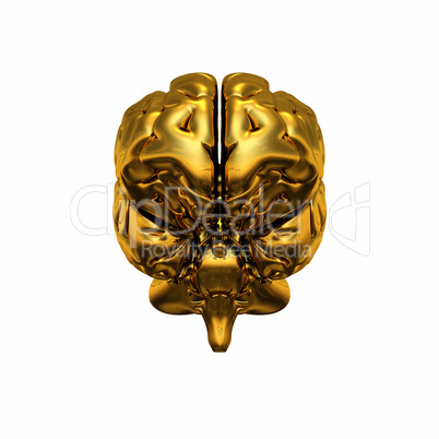 Gold Brain - Frontal