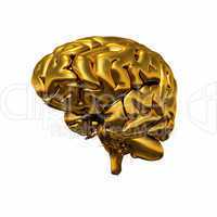 Gold Brain - Halb Rechts
