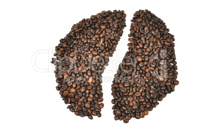 Coffee bean