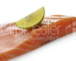 Raw Salmon Fillet