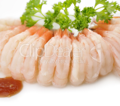 Fresh Shrimps