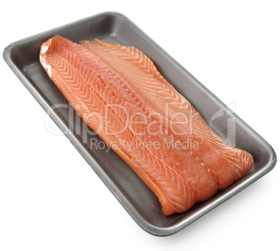 Raw Salmon