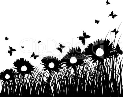 meadow silhouettes