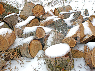 Pile of fire wood in winter.