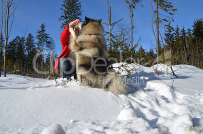 Frau mit Hund im Schnee