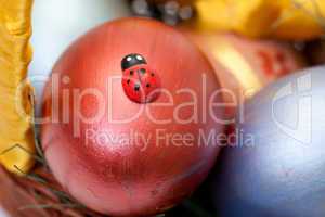 ladybug on painted easter eggs in basket
