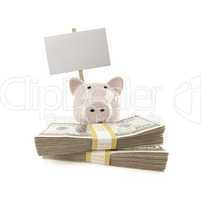Pink Piggy Bank with Stacks of Money and Blank Sign