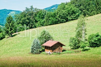 Hut the austrian alps