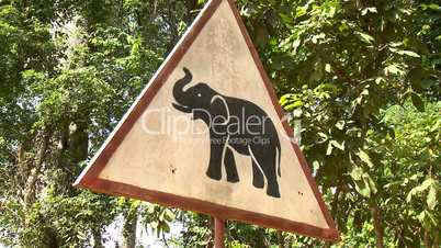 Vorsicht Elefant!