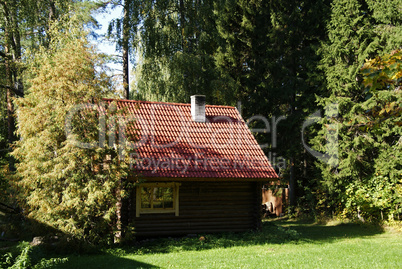 The house and plants