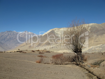 Dry landscape in Mustang