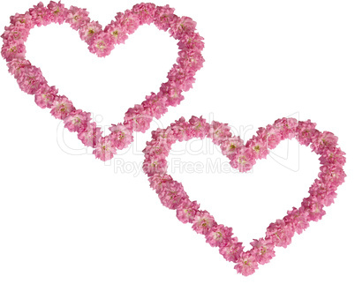 Two hearts from pink roses on a white background