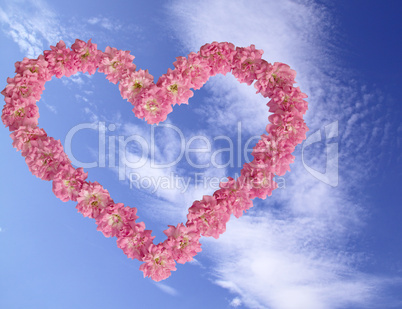 Heart from pink roses against the blue sky