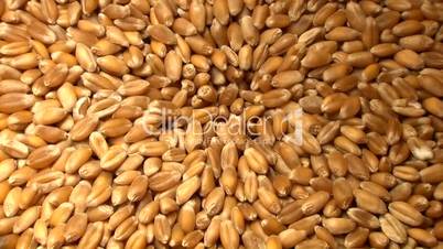 Weizenkörner in Getreidemühle