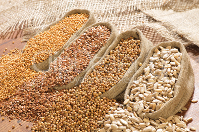 seeds of mustard, flax, coriander and sunflower