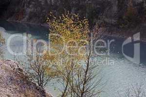 Lengerich, Blaue Lagune mit Birke im Herbst, Nordrhein-Westfalen