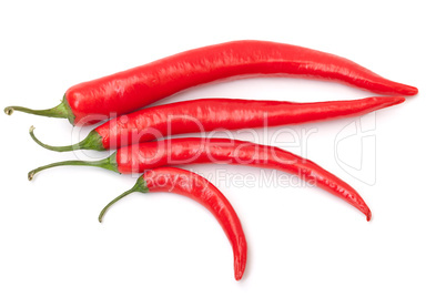 Chili pepper