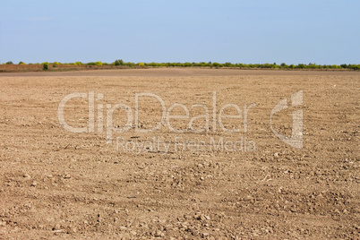 Autumn field soil