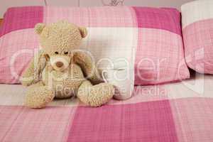 Teddy Bear in Bed