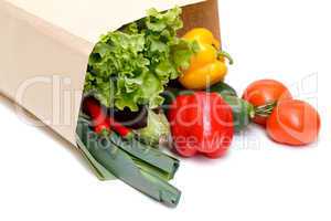 grocery bag full of vegetables