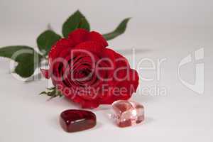 rote Rose und 2 Herzen Freisteller