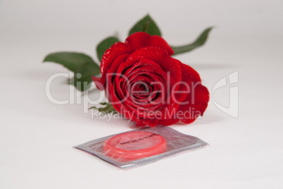 rote Rose und Kondom Freisteller