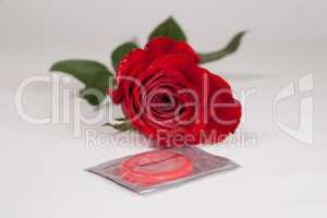 rote Rose und Kondom Freisteller