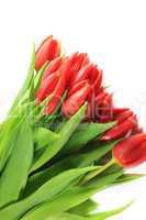 Frischer Strauss Tulpen mit Wassertropfen bedeckt - A fresh bouquet of tulips with water drops covered