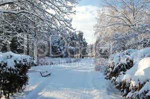 Walking path, bench and snow in Oleksandriya Park, Bila Tserkva,