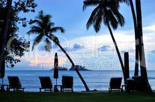 Beach during sunset with coconut palms, Koh Chang island, Thaila