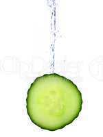 Cucumber