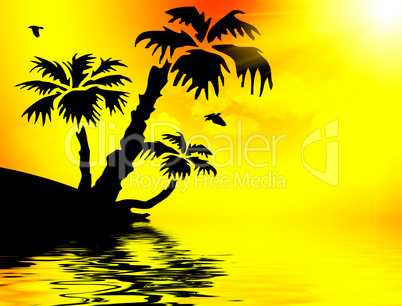 Palm trees silhouette at sunset